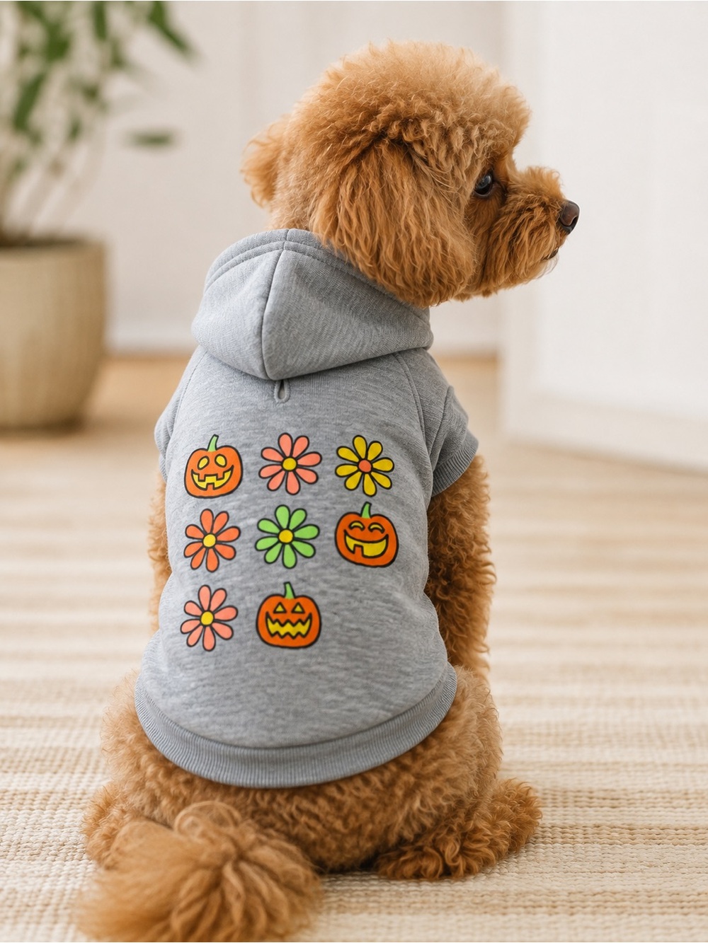 Life is Good Medium Dog Halloween Pumpkin Hoodie New